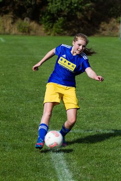 Bild 381 - Frauen TSV Gnutz - SG S�lfeld/Oe/Se/Stu : Ergebnis: 2:3